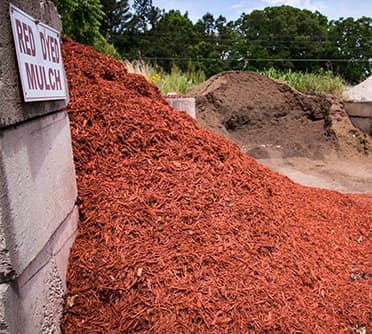 pile of red mulch